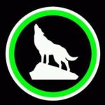 Highbury wolves youth football club